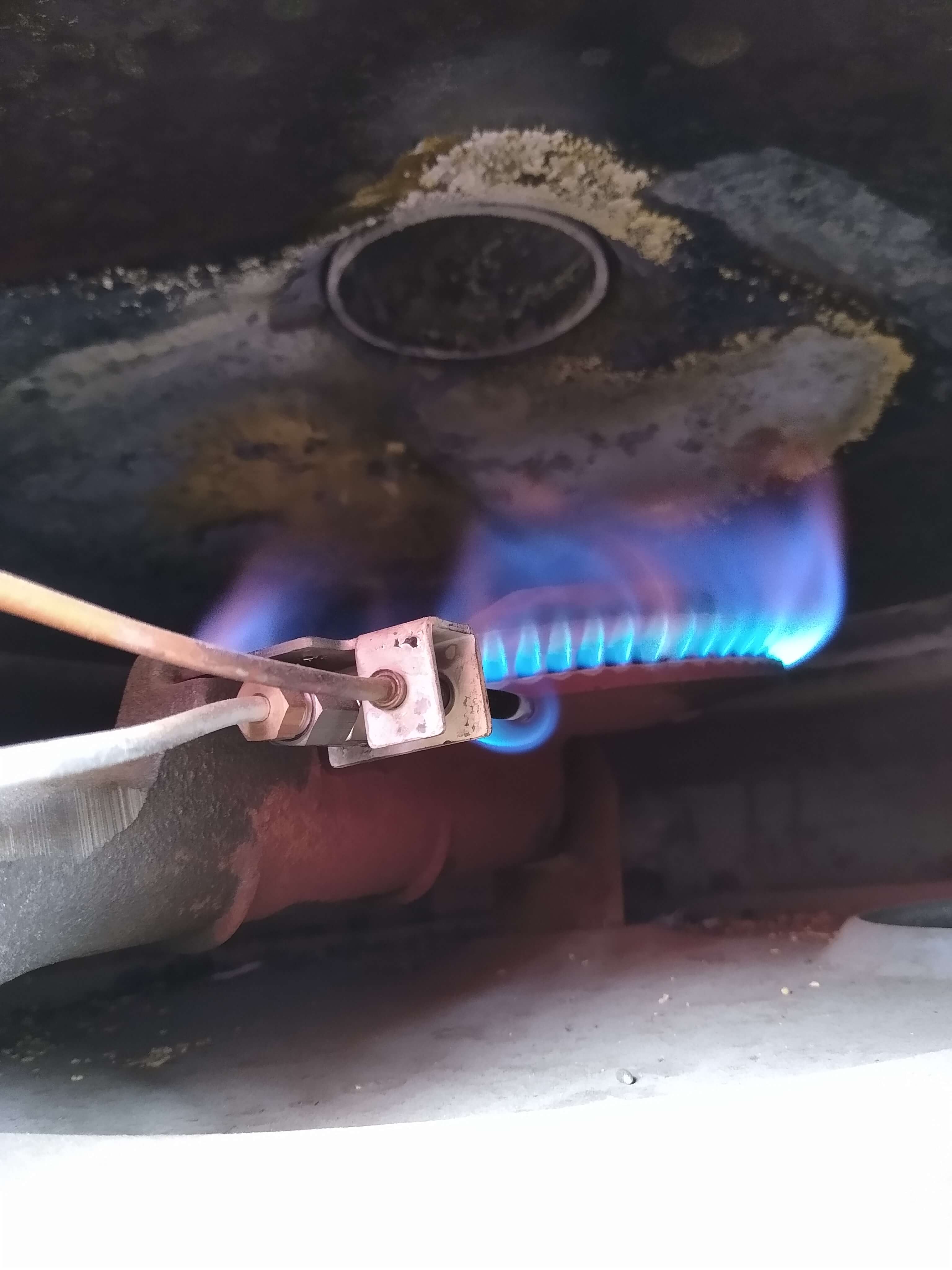 Why Does My Water Taste Weird? Exploring Lexington County’s Summertime Tap Water Woes