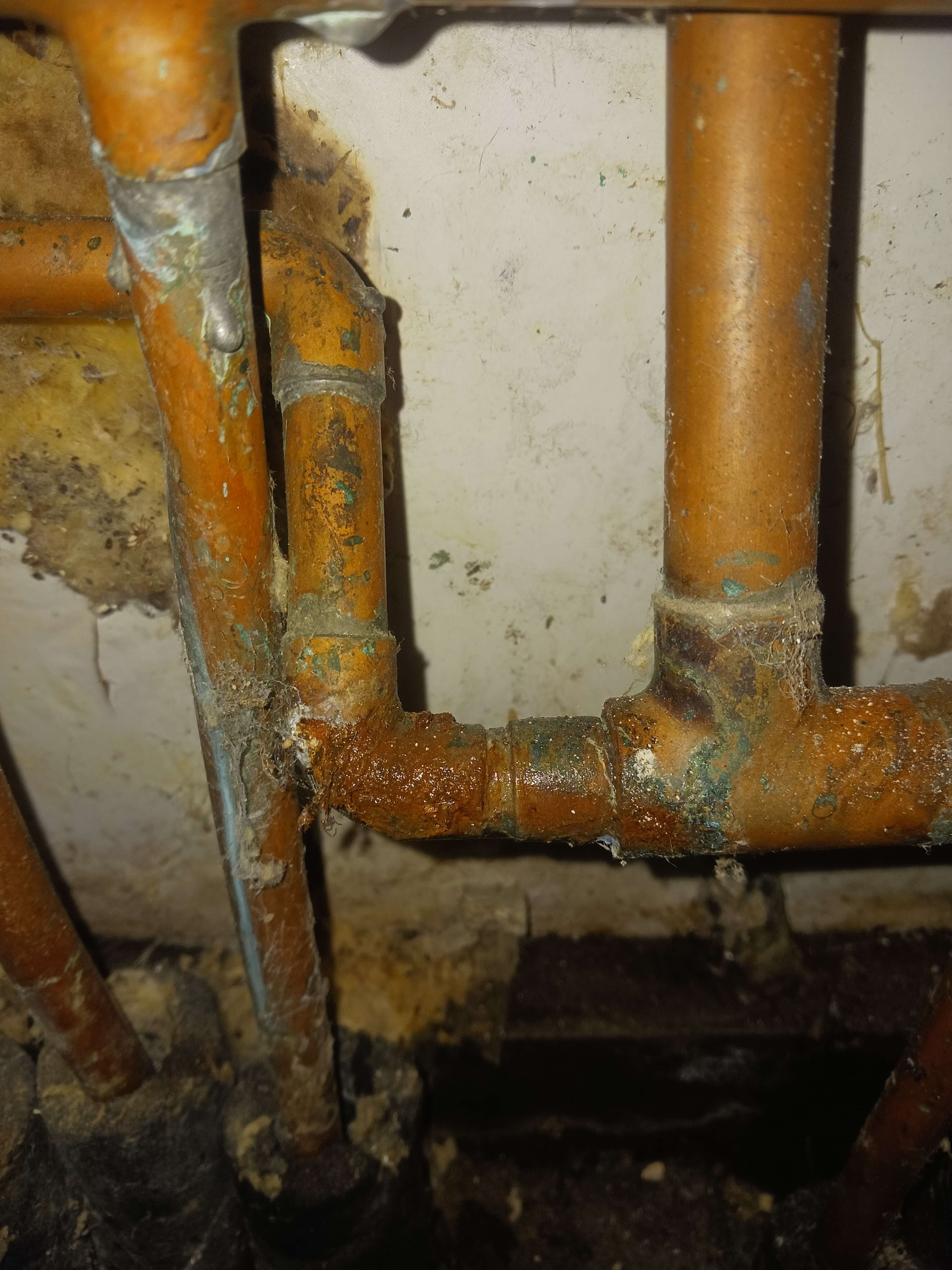 Why Does My Water Taste Weird? Exploring Lexington County’s Summertime Tap Water Woes