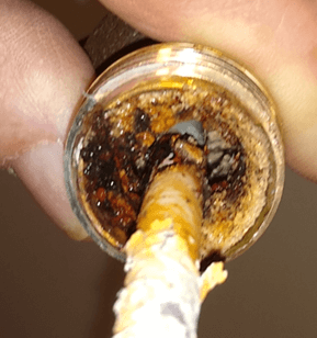 Why Does My Water Taste Weird? Exploring Lexington County’s Summertime Tap Water Woes