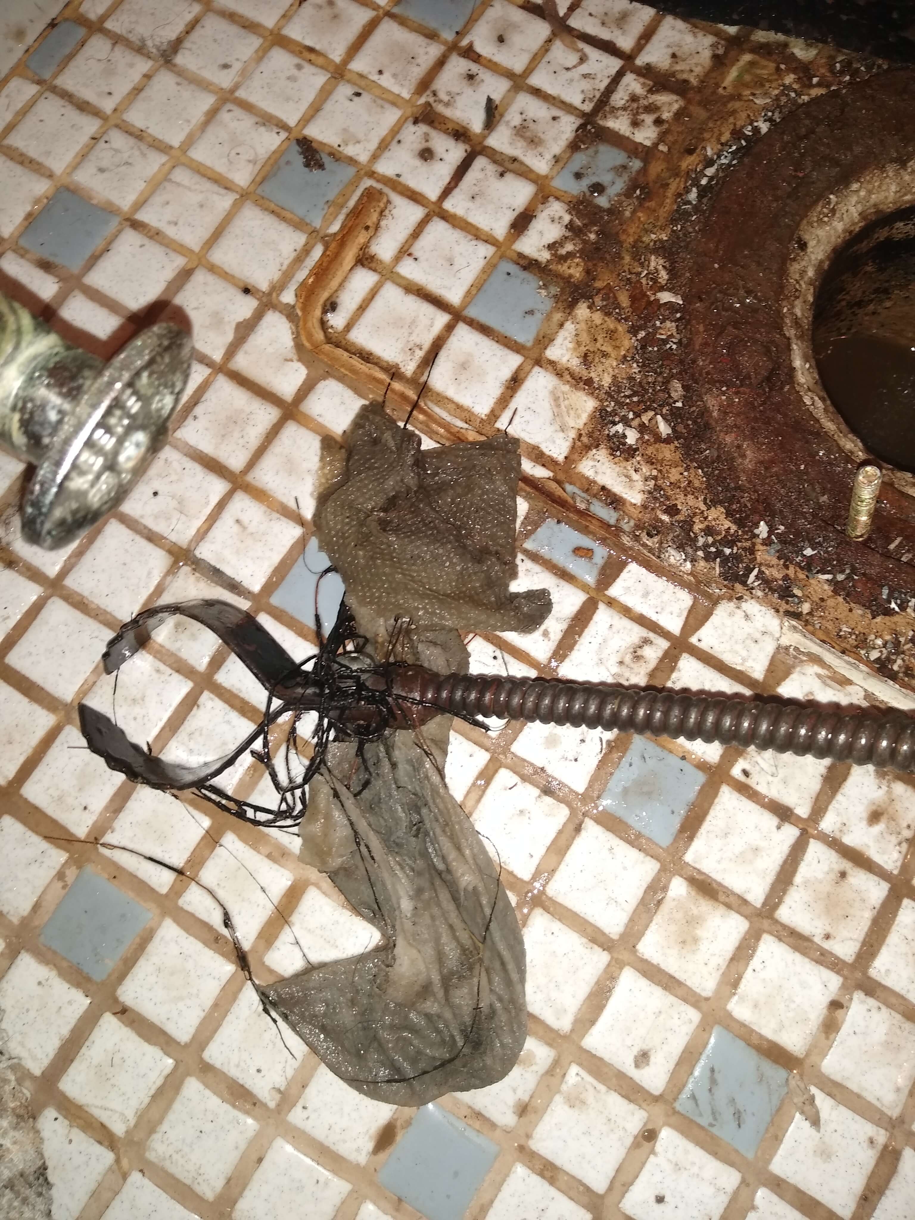 Why Does My Water Taste Weird? Exploring Lexington County’s Summertime Tap Water Woes