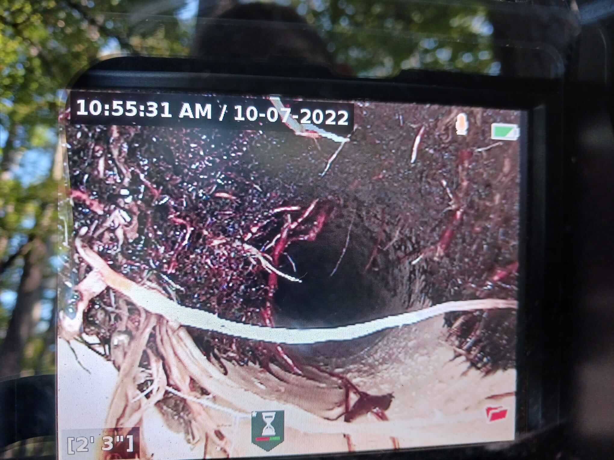 Why Does My Water Taste Weird? Exploring Lexington County’s Summertime Tap Water Woes