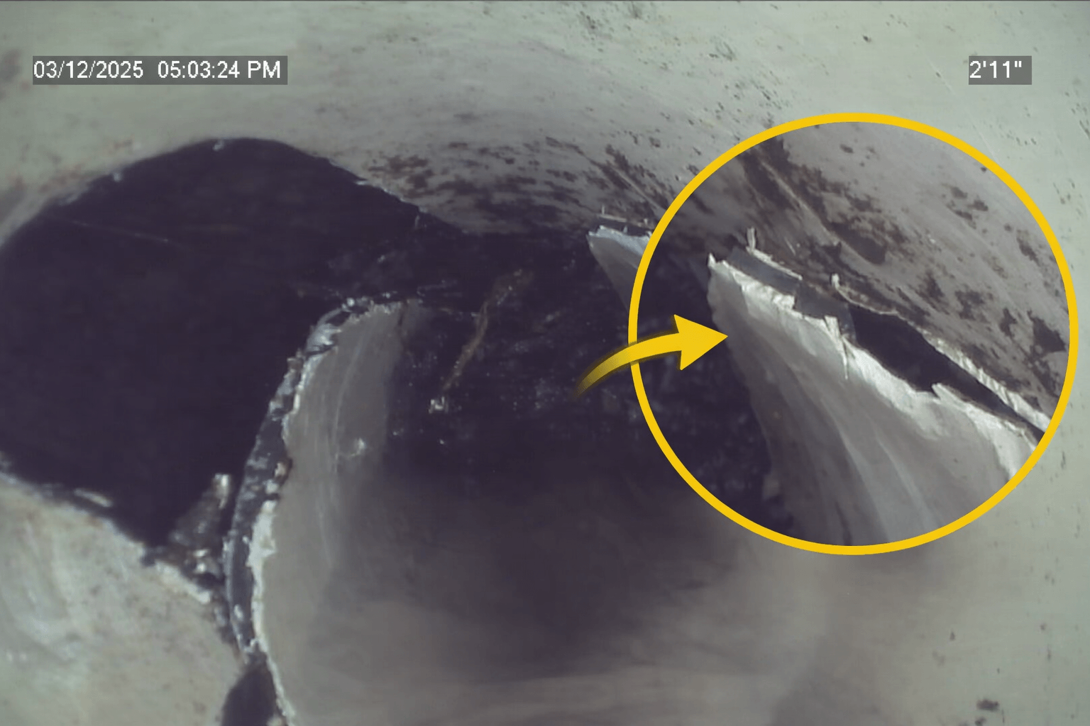 Why Does My Water Taste Weird? Exploring Lexington County’s Summertime Tap Water Woes