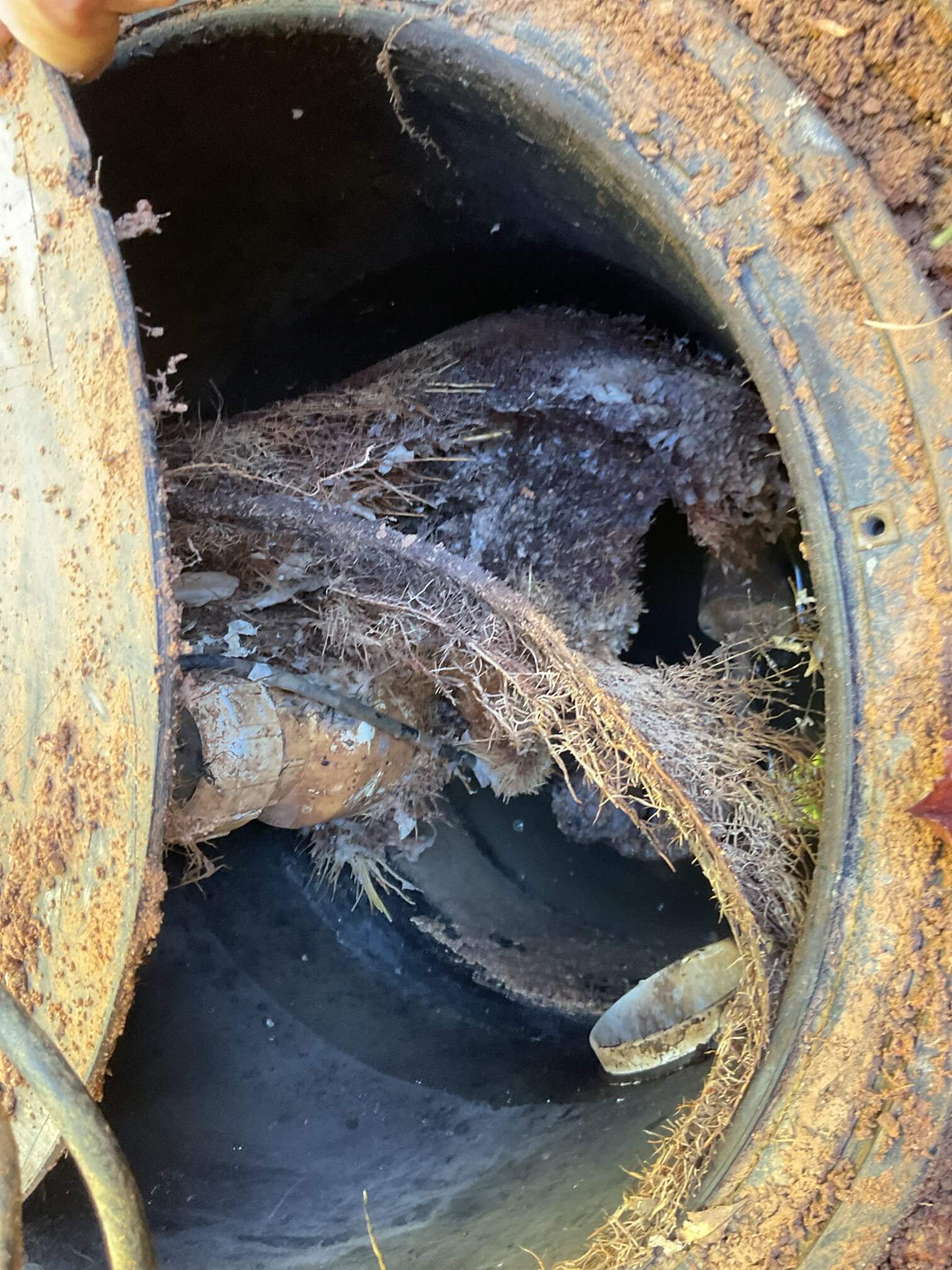 Why Does My Water Taste Weird? Exploring Lexington County’s Summertime Tap Water Woes