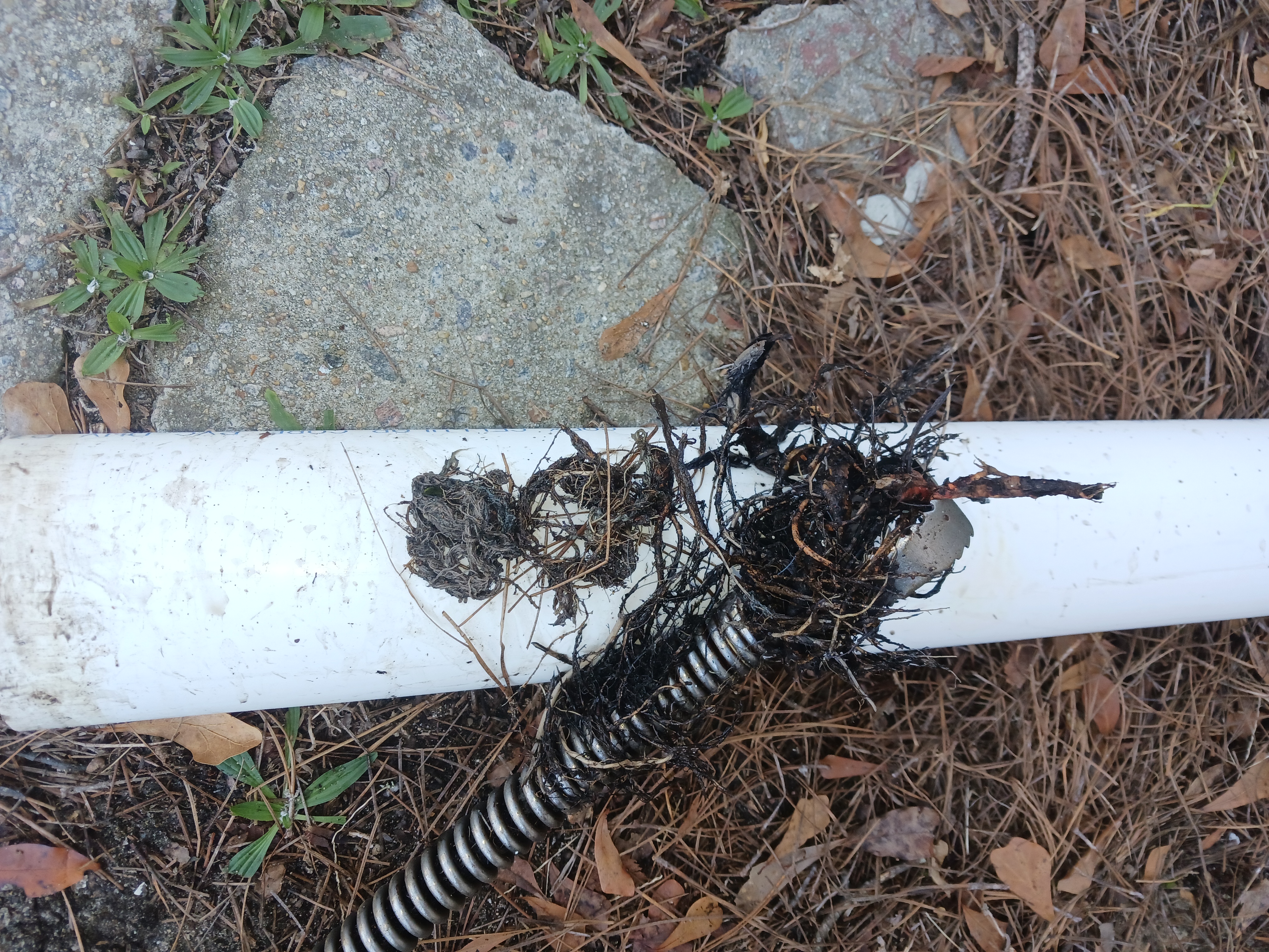 Why Does My Water Taste Weird? Exploring Lexington County’s Summertime Tap Water Woes