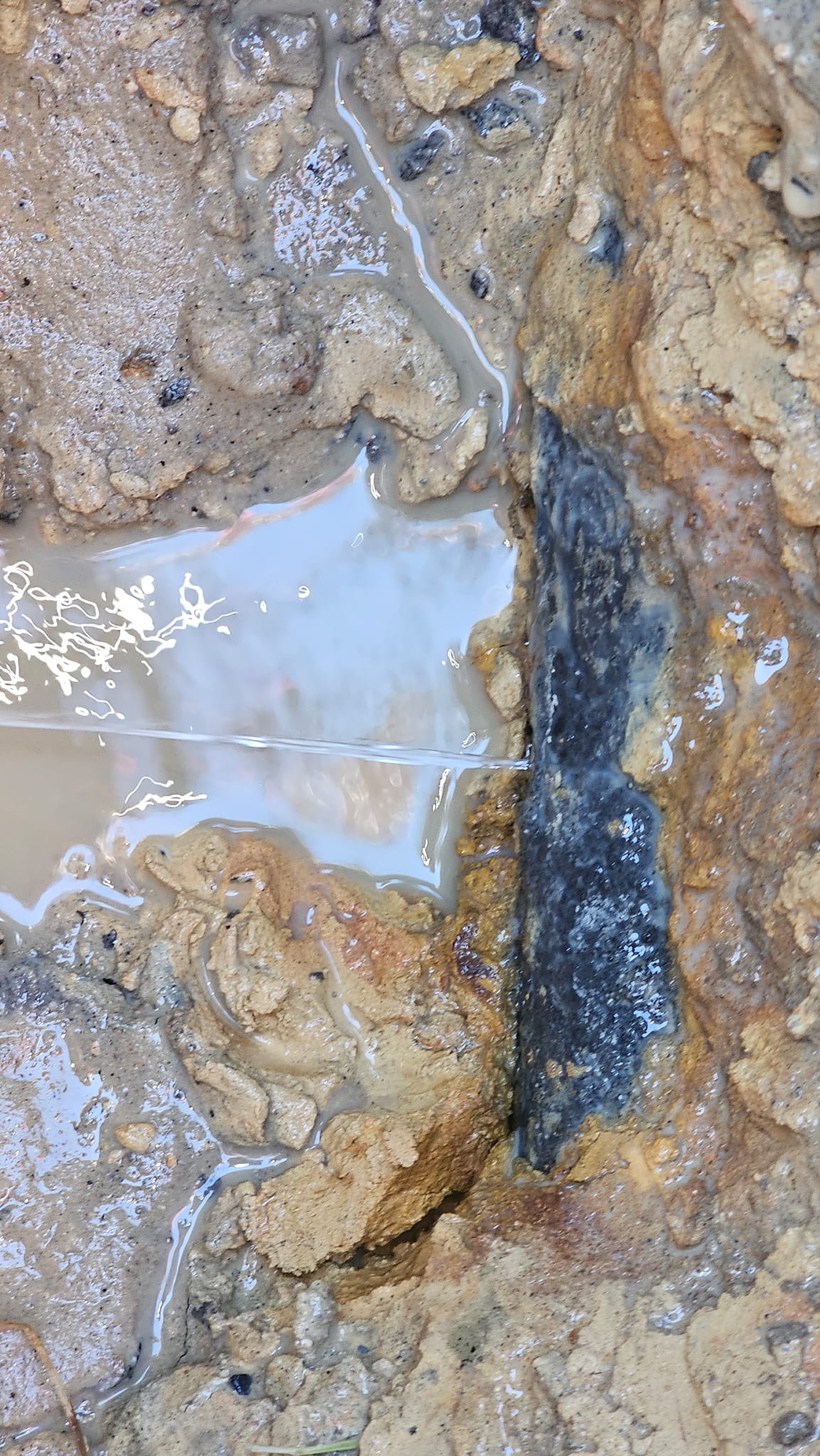 Why Your Shower Suddenly Lost Water Pressure?