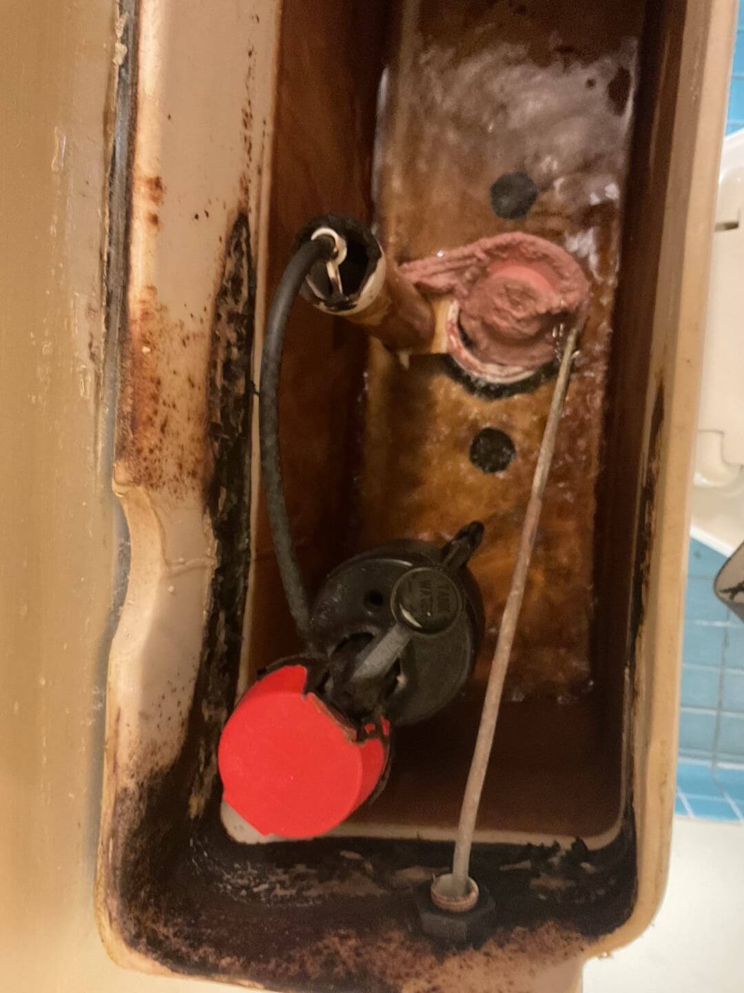 Why Does My Water Taste Weird? Exploring Lexington County’s Summertime Tap Water Woes