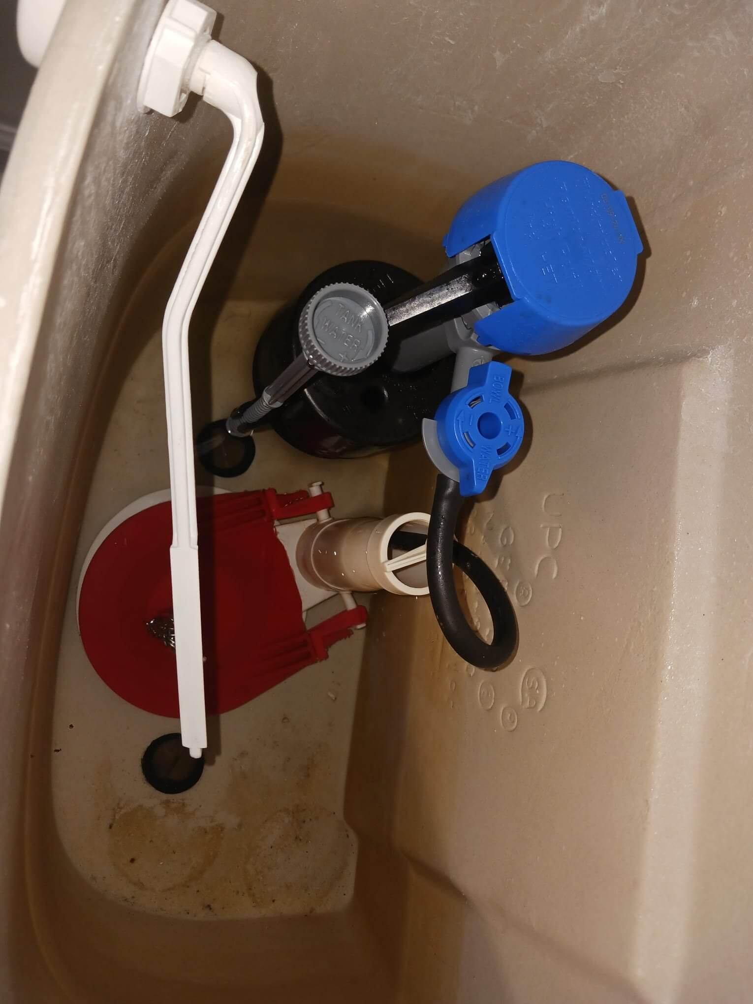 Why Does My Water Taste Weird? Exploring Lexington County’s Summertime Tap Water Woes