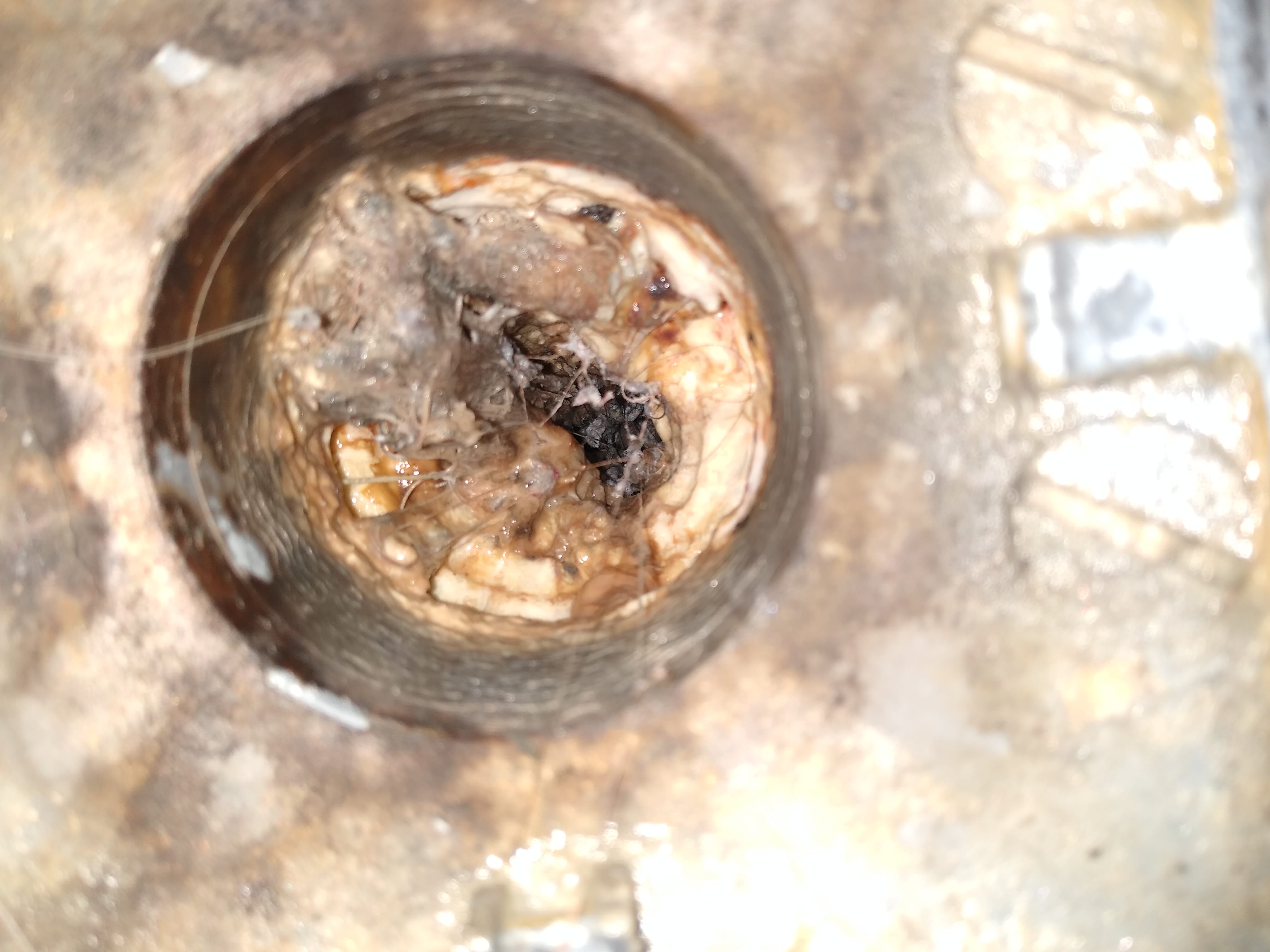 Grease buildup in a drain causing sewage smell