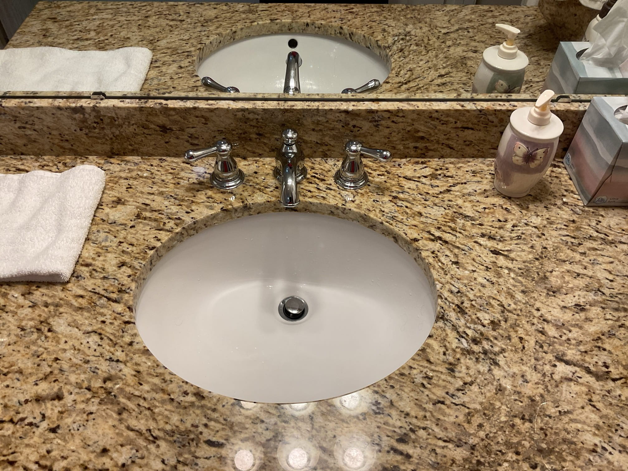 215 Peach Grove Circle Elgin SC plumbing inspection