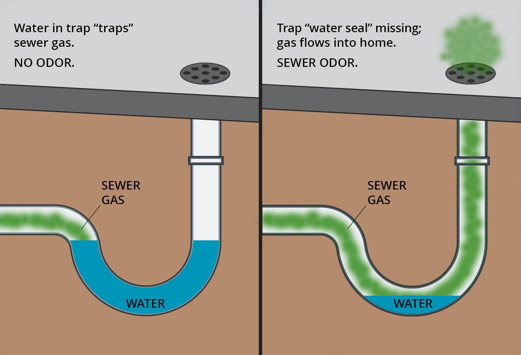Dry P-trap diagram showing how sewer gas enters the home