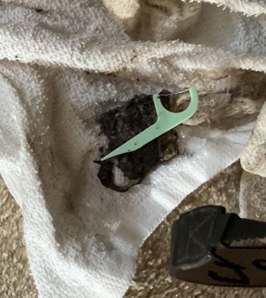 Clogged and corroded pipes