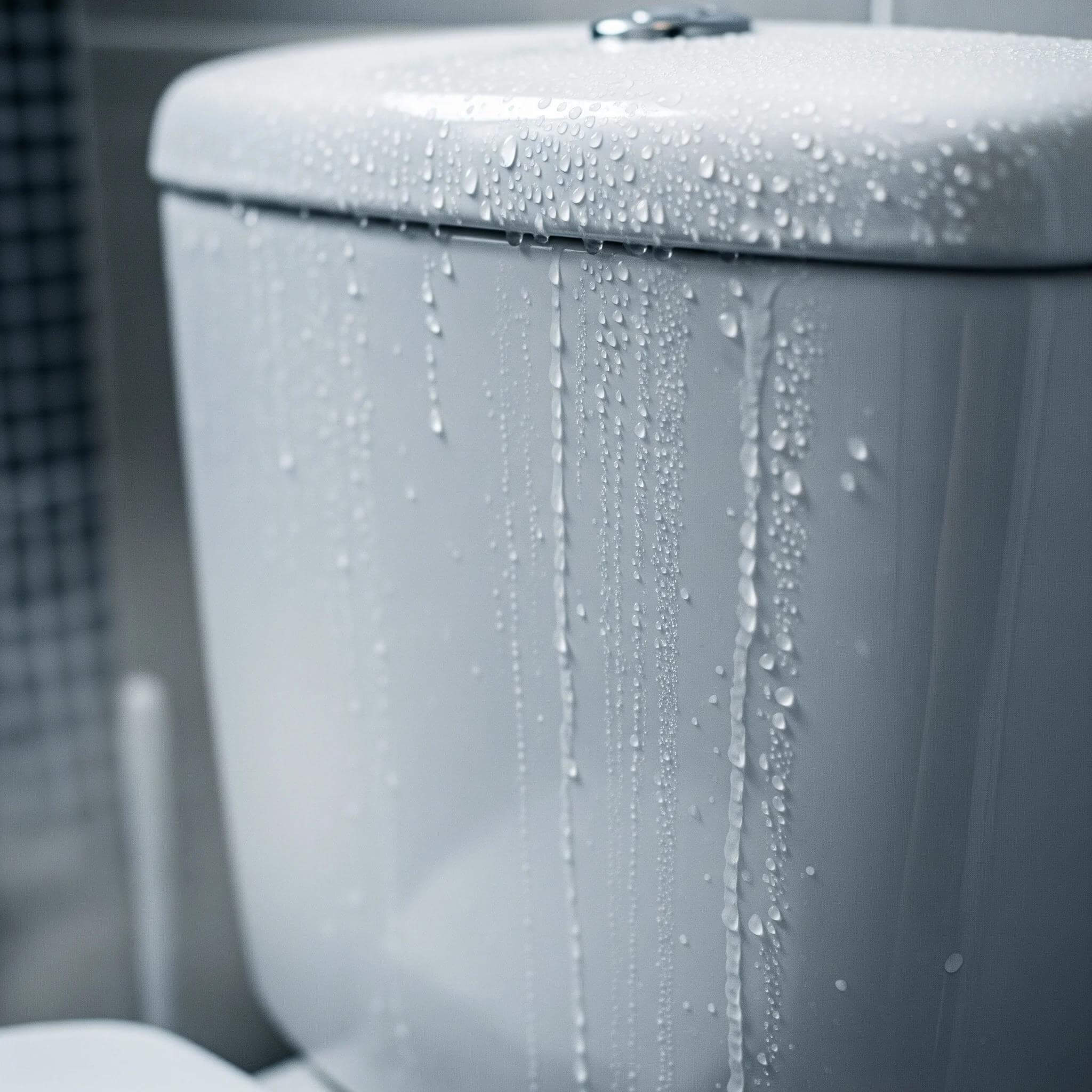 Toilet sweating
