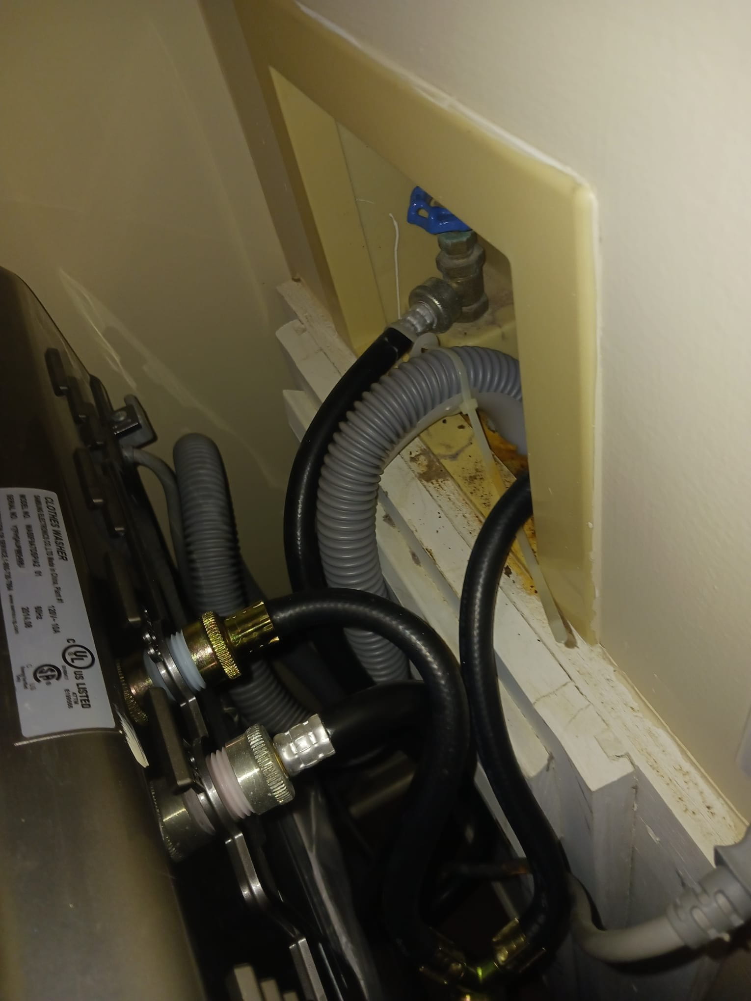Clogged drain condition in laundry area