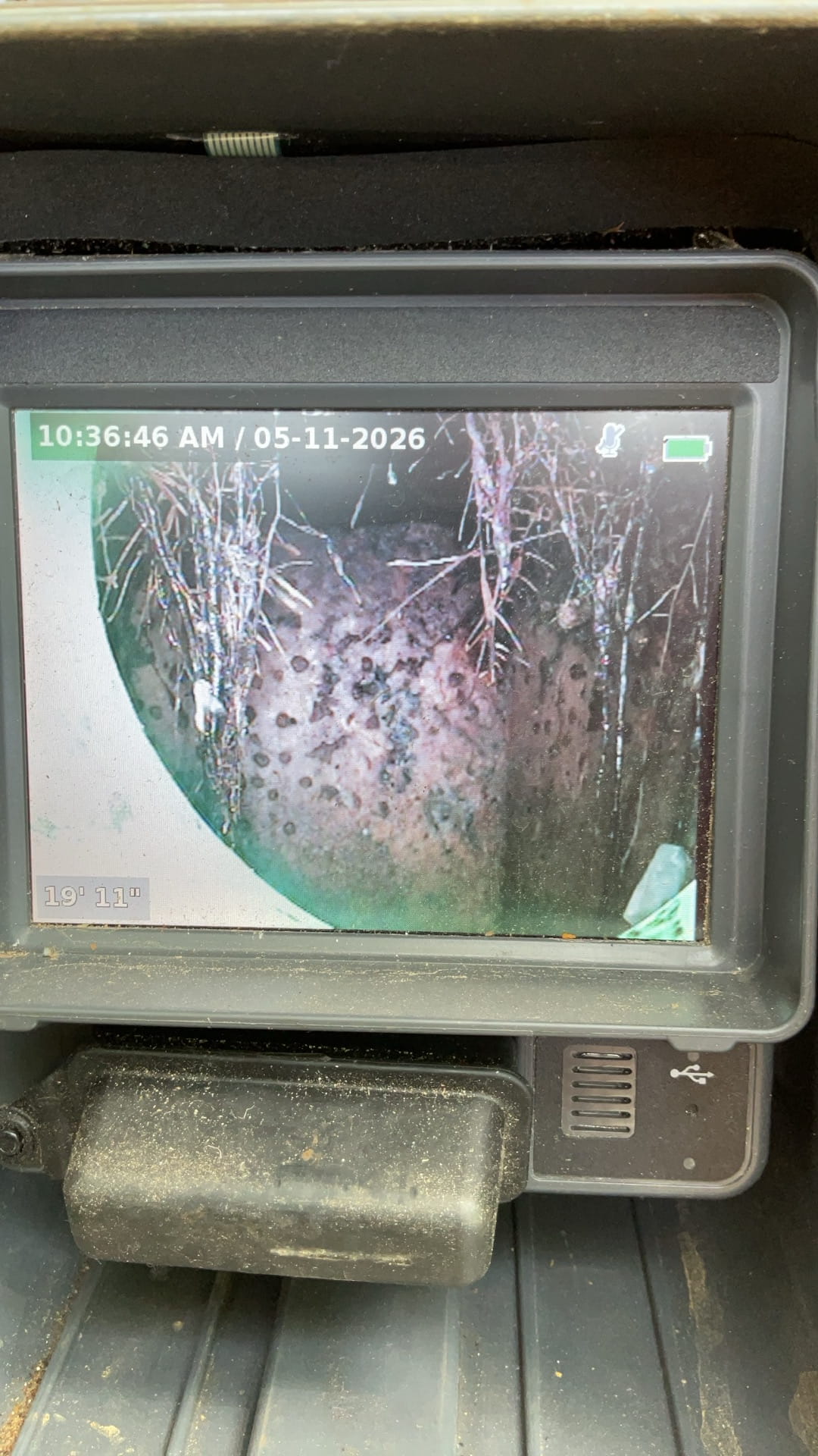Sewer camera image showing roots in pipe