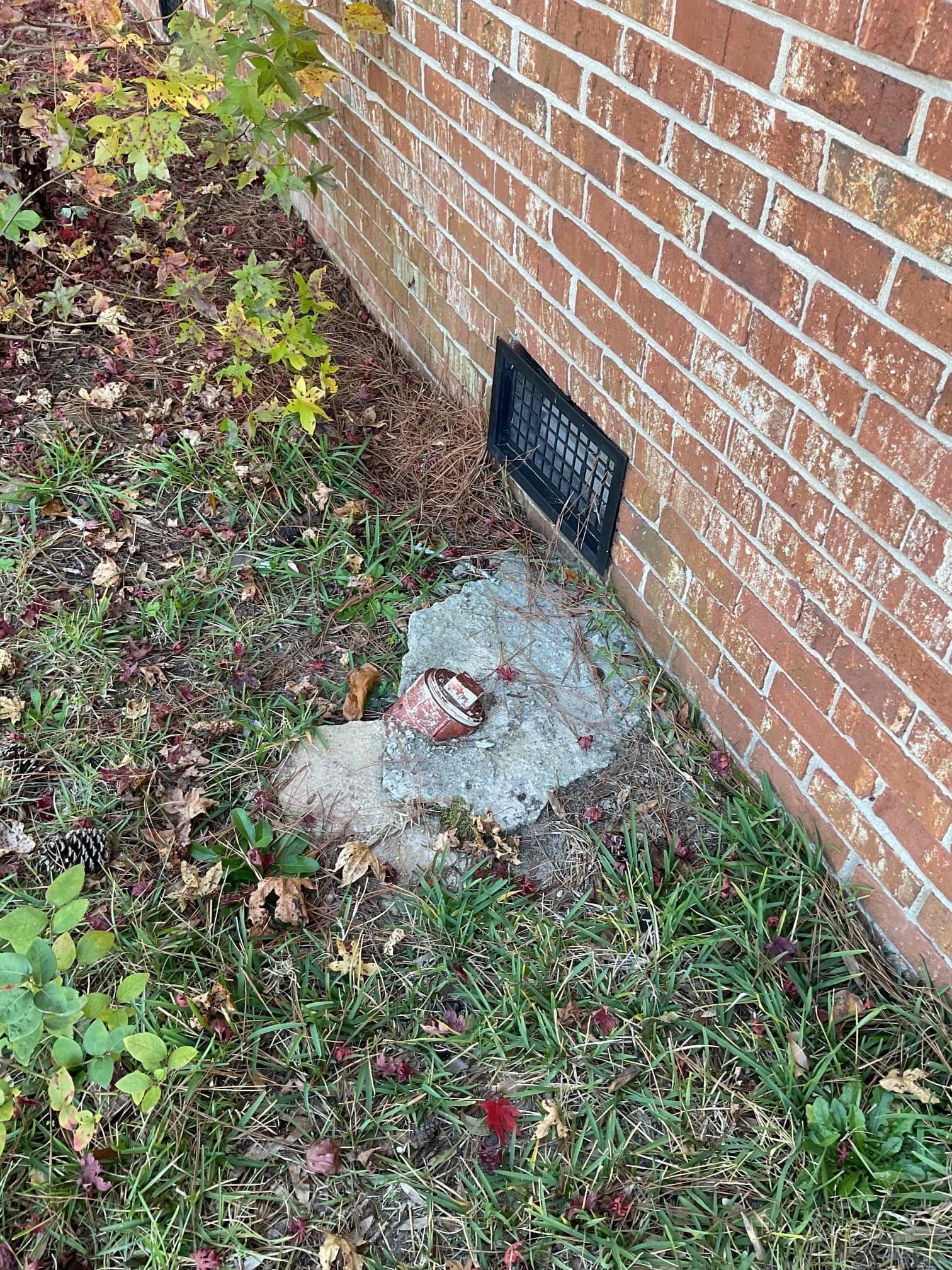 Sewer backup near home
