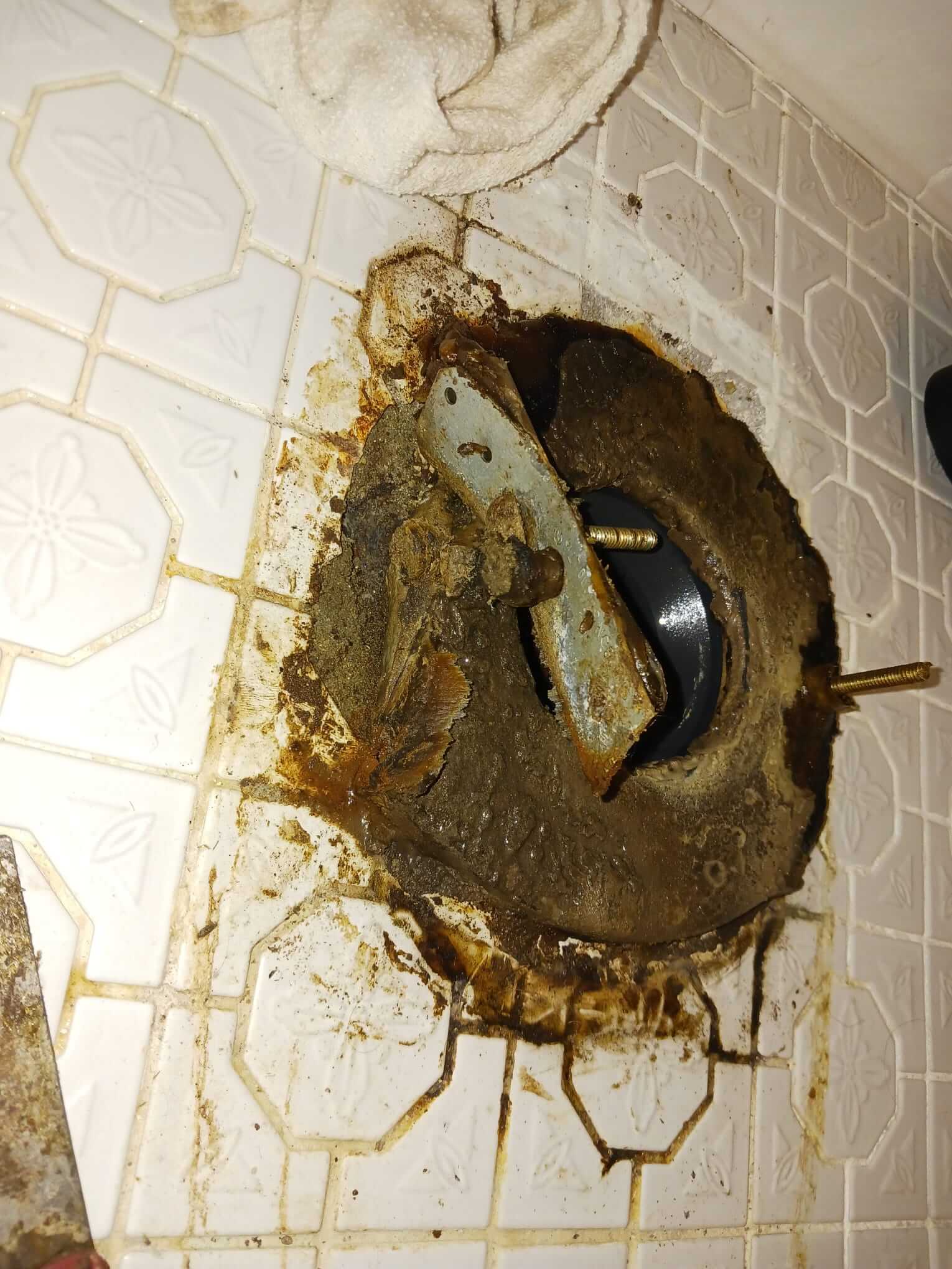 damaged wax ring