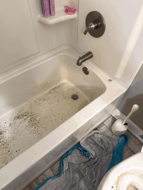 Bathtub backed up with dirty water from a drain line clog