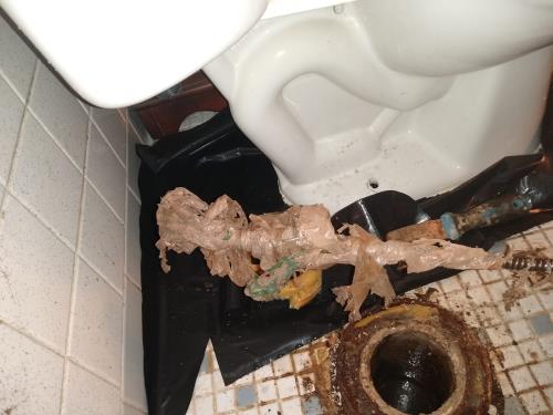 Debris pulled from a toilet drain after removing the toilet